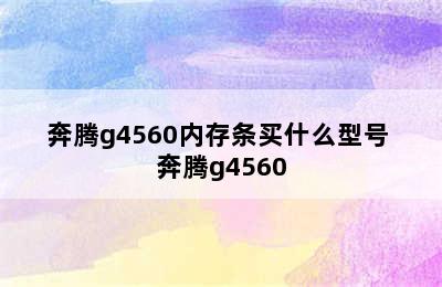 奔腾g4560内存条买什么型号 奔腾g4560